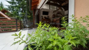 casa foresta