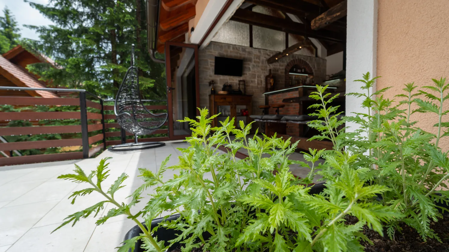 casa foresta